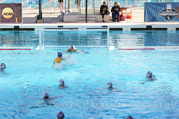 MWP: Salem University Tigers vs UCLA Bruins