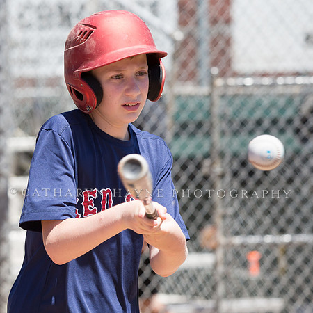 Project Awareness and Special Sports Baseball,