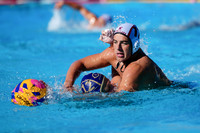 Max Prokhin, Weston Bancroft