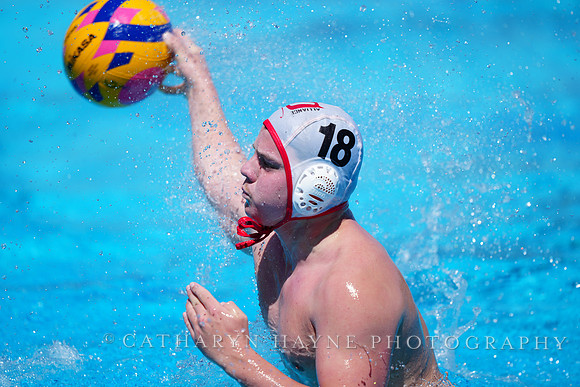Dillon Bouch