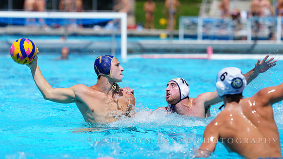 Ned Ginoti, Yoav Rendler