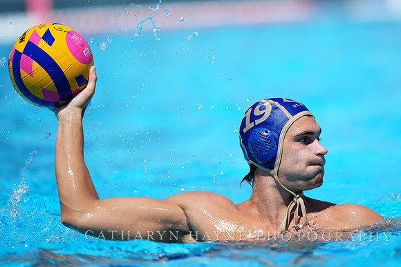 Oriol Vinas