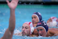 USA Water Polo National League