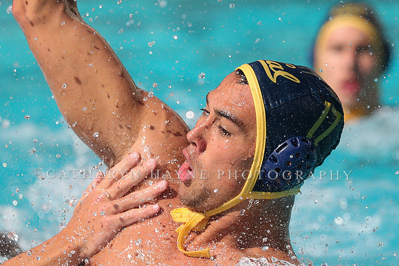 Collegiate Mens Water Polo: California Golden Bears vs UC Santa Barbara Gauchos