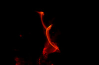 The Berkshires- Fire Pit