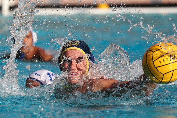Collegiate Mens Water Polo: MPSF Invitational: California Golden Bears vs UC Santa Barbara Gauchos