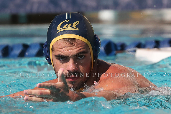 Collegiate Mens Water Polo: California Golden Bears vs UC Santa Barbara Gauchos