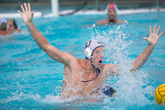 UC Davis vs Cal