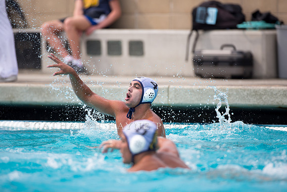 UC Davis vs Cal