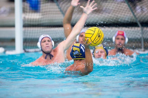 UC Davis vs Cal