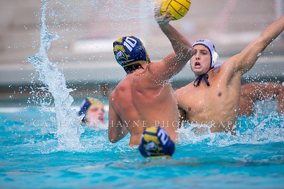 UC Davis vs Cal