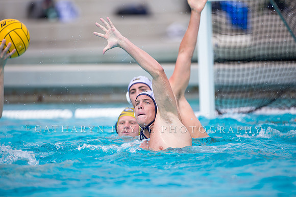 UC Davis vs Cal