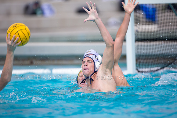 UC Davis vs Cal