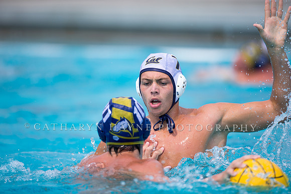 UC Davis vs Cal