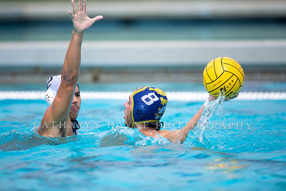 UC Davis vs Cal