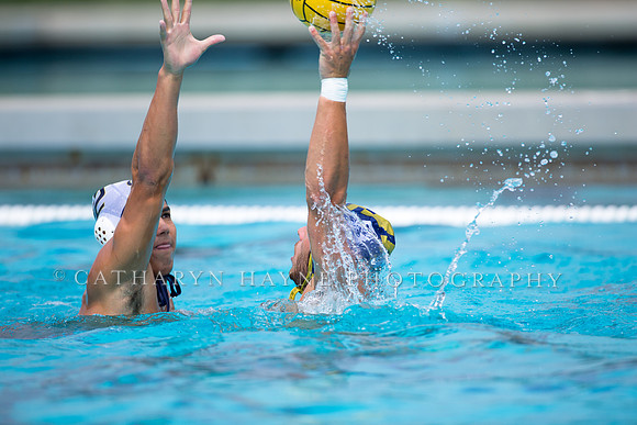 UC Davis vs Cal