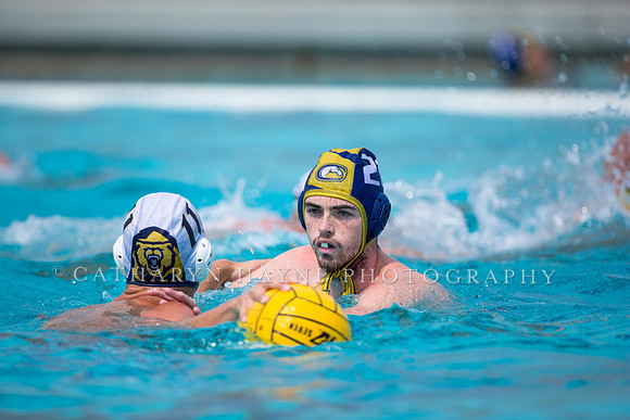 UC Davis vs Cal