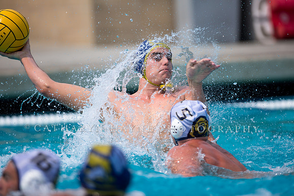 UC Davis vs Cal