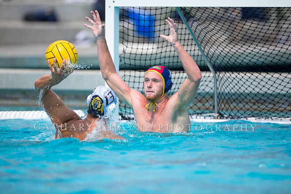 UC Davis vs Cal