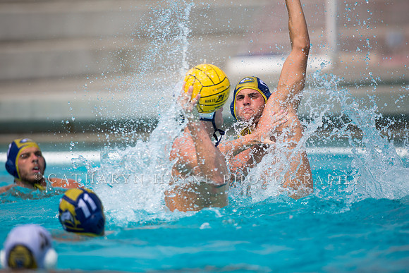 UC Davis vs Cal