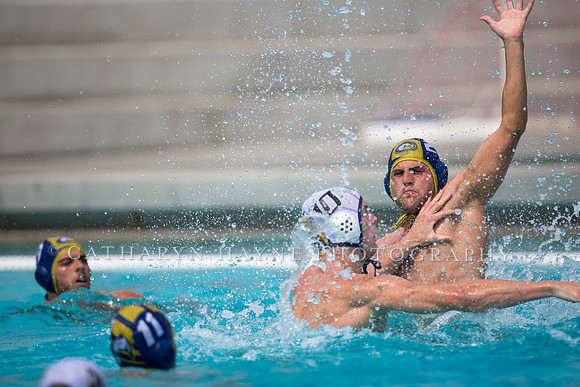UC Davis vs Cal