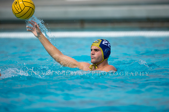 UC Davis vs Cal