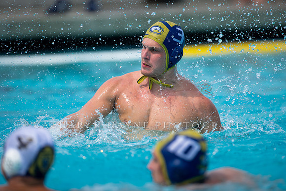 UC Davis vs Cal