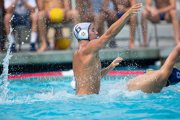 UC Davis vs Cal
