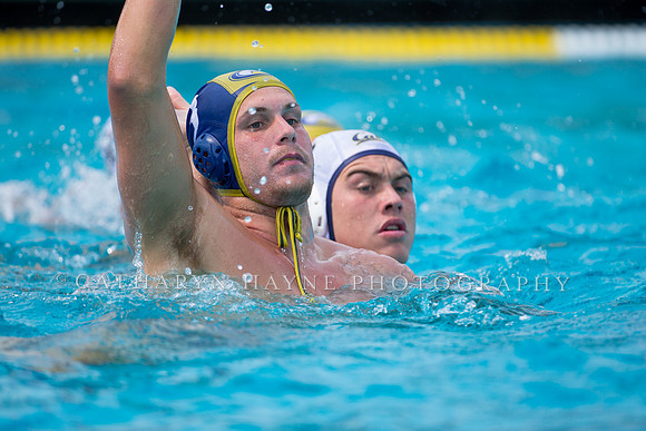 UC Davis vs Cal