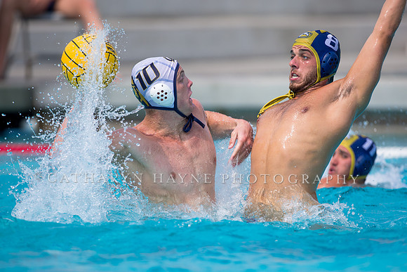 UC Davis vs Cal