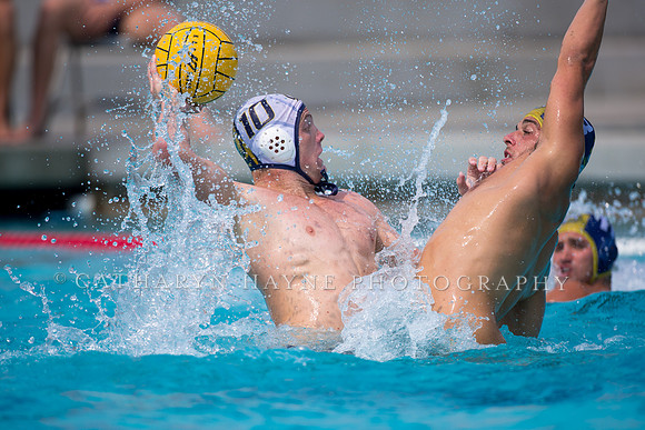 UC Davis vs Cal