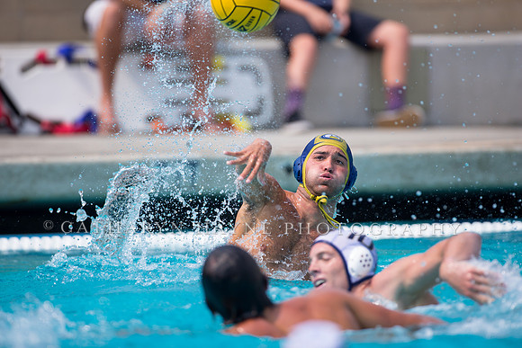 UC Davis vs Cal