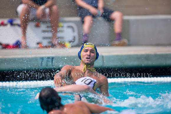 UC Davis vs Cal