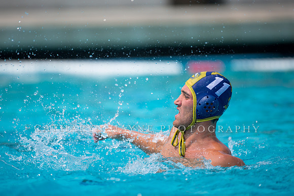 UC Davis vs Cal