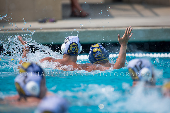 UC Davis vs Cal