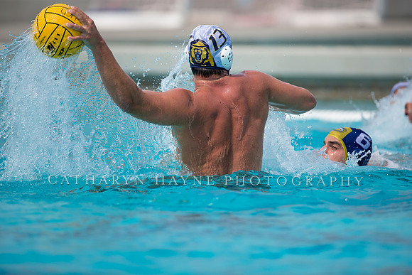 UC Davis vs Cal