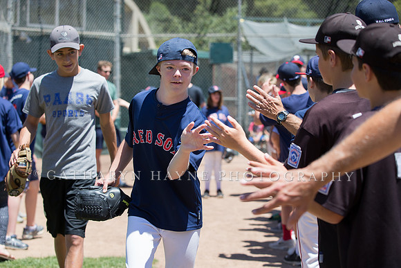 Project Awareness and Special Sports Baseball,