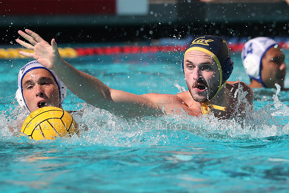 Collegiate Mens Water Polo: California Golden Bears vs UC Santa Barbara Gauchos