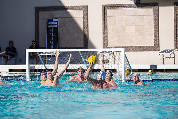 20141102CalvLBSUlr-39
