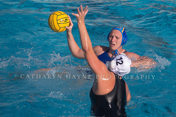 Cal vs SJSU at California Speedo Cup