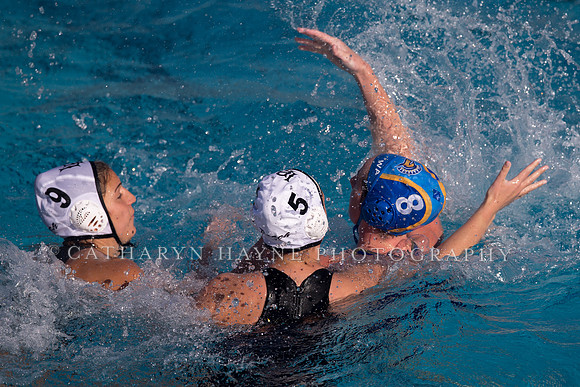 Cal vs SJSU at California Speedo Cup