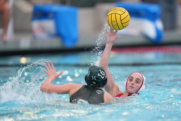 WWP: Marist College Red Foxes vs Concordia Golden Eagles