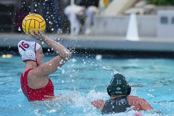 WWP: Marist College Red Foxes vs Concordia Golden Eagles