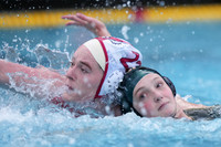 WWP: Marist College Red Foxes vs Concordia Golden Eagles