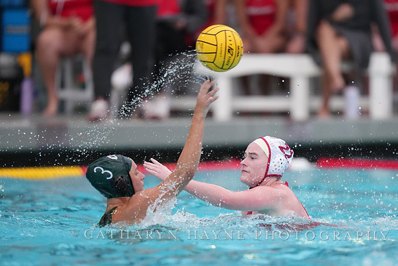 WWP: Marist College Red Foxes vs Concordia Golden Eagles