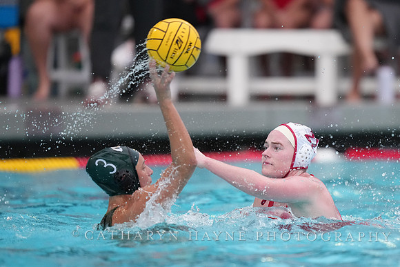 WWP: Marist College Red Foxes vs Concordia Golden Eagles