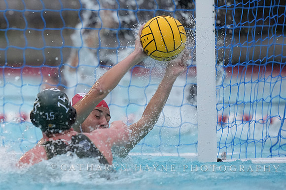 WWP: Marist College Red Foxes vs Concordia Golden Eagles