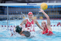 WWP: Marist College Red Foxes vs Concordia Golden Eagles