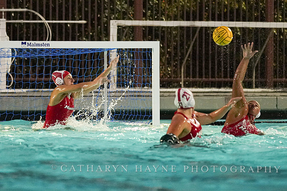 WWP: Marist College Red Foxes vs Concordia Golden Eagles
