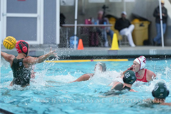 WWP: Marist College Red Foxes vs Concordia Golden Eagles